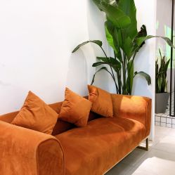 -ASA HAIR SALON