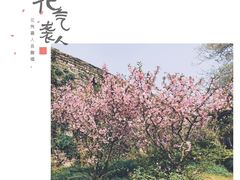 -鸡鸣赐茶(鸡鸣寺路店)