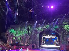 -广州长隆国际大马戏