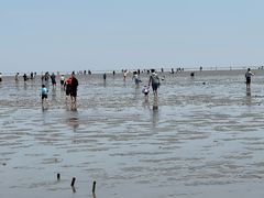 -南汇嘴观海公园