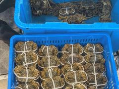 -品鲜村农家菜·阳澄湖大闸蟹(总店)