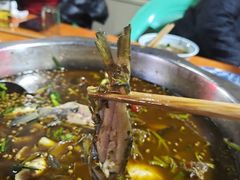 -满诗爷黄辣丁(金岛花园店)
