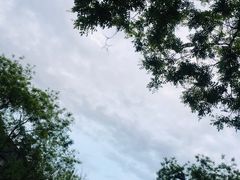 -清凉寺
