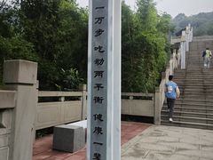 -铁山坪森林公园