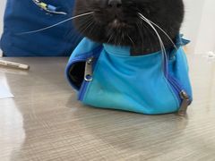 -荔康动物医院(康王北路店)