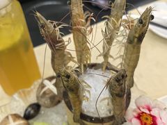 -源港渔村-中山脆肉鲩(博罗店)