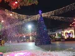 -广东花都香草世界旅游度假区