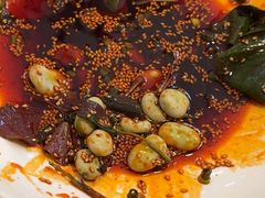 -院8里·少城记忆老川菜(宽窄巷子店)