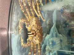 -海底捞大排档火锅(打浦路店)