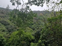 -水濂山森林公园