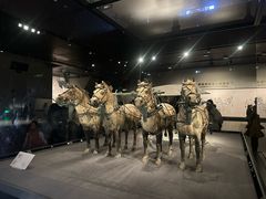 -秦始皇帝陵博物院-丽山园