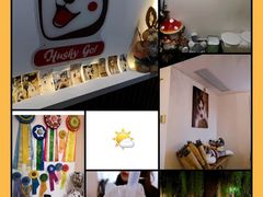 -Husky Go! 哈士奇体验馆·宠物咖啡厅狗咖