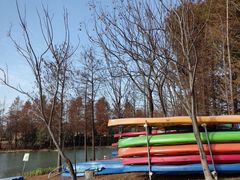 -上海长兴岛郊野公园