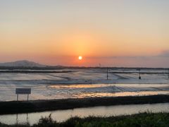 -大湾区中央湿地公园-十九涌
