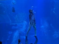 -太平洋海底世界