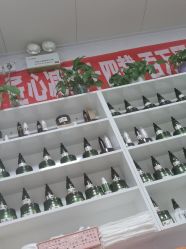 点击看大图 -丽减美瘦吧·减肥瘦身