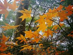 -共青国家森林公园-售票处
