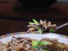 -新光酒家·河豚·海鲜·蟹料理(浦东店)