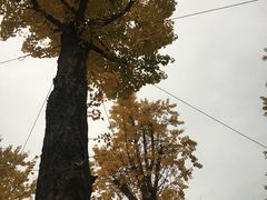 -百林公园-两江幸福广场