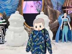 -世界之窗阿尔卑斯冰雪世界
