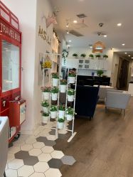 点击看大图 -巴黎拉斐派瑞美发沙龙