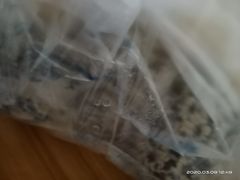 -恒義诚·老鼠窟国营饭店(桥头街店)