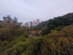 -鲤鱼塘农家山庄