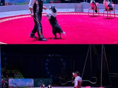 -国色天乡三期陆地乐园