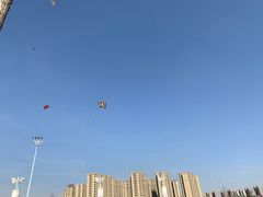 -丁香湖公园