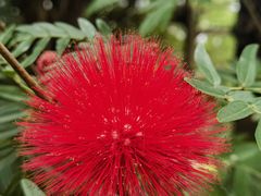 -老李烧烤(世贸南路店)