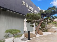 -罗红摄影艺术馆