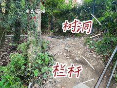 -东钱湖旅游度假区