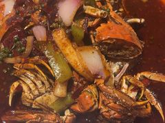 -杨氏青龙虾·羊蝎子(托乐嘉店)