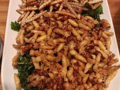 -山茶云南菜(永安里店)