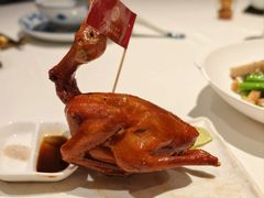 -侨美食家·41年地道粤菜(珠江新城店)
