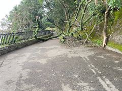 -维记咖啡粉面(福荣街店)