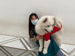 -星多哈·狗咖·拼豆·咖啡