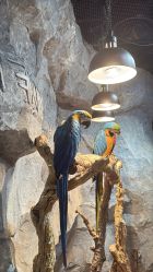 -Zoolung Zoolung动物主题公园(海信广场店)