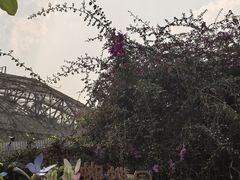 -野象谷景区