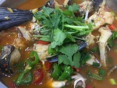 -全乐鱼馆·淳牌有机鱼直营店