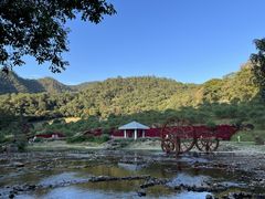 -广州市石门国家森林公园