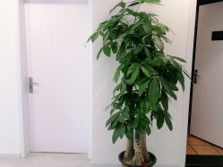 -SKIN79皮肤管理中心