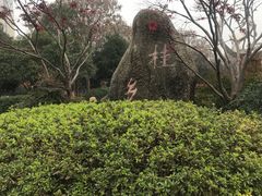 -咸宁站