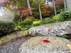 -三千院