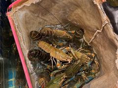 -熊记虾王·小龙虾(东晓南店)