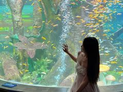 -合肥海洋世界