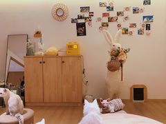 -猫腻·猫咖·撸猫馆(星光大道店)