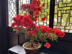 -上海醉白池公园