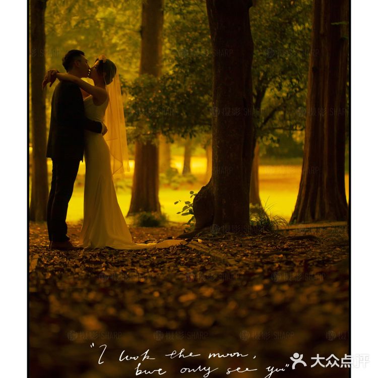 推荐🔥夏季限定·治愈满分的森系光影婚纱照