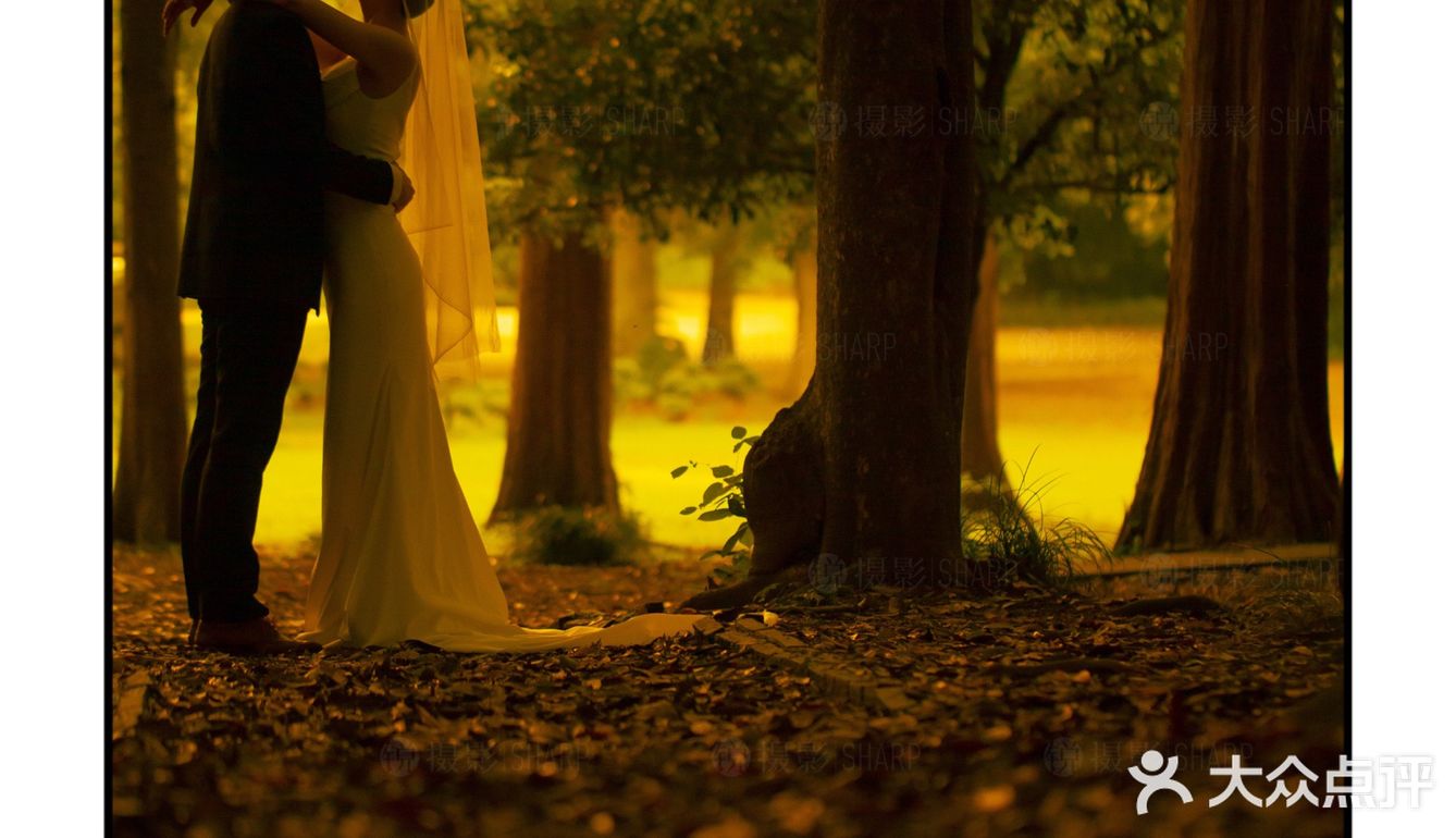 推荐🔥夏季限定·治愈满分的森系光影婚纱照